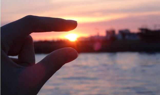 ��ҵ��վ��Ƶ���������